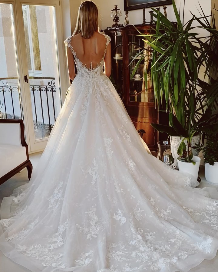 Classy A-Line Wedding Dress with Backless Church Train and Appliques Lace