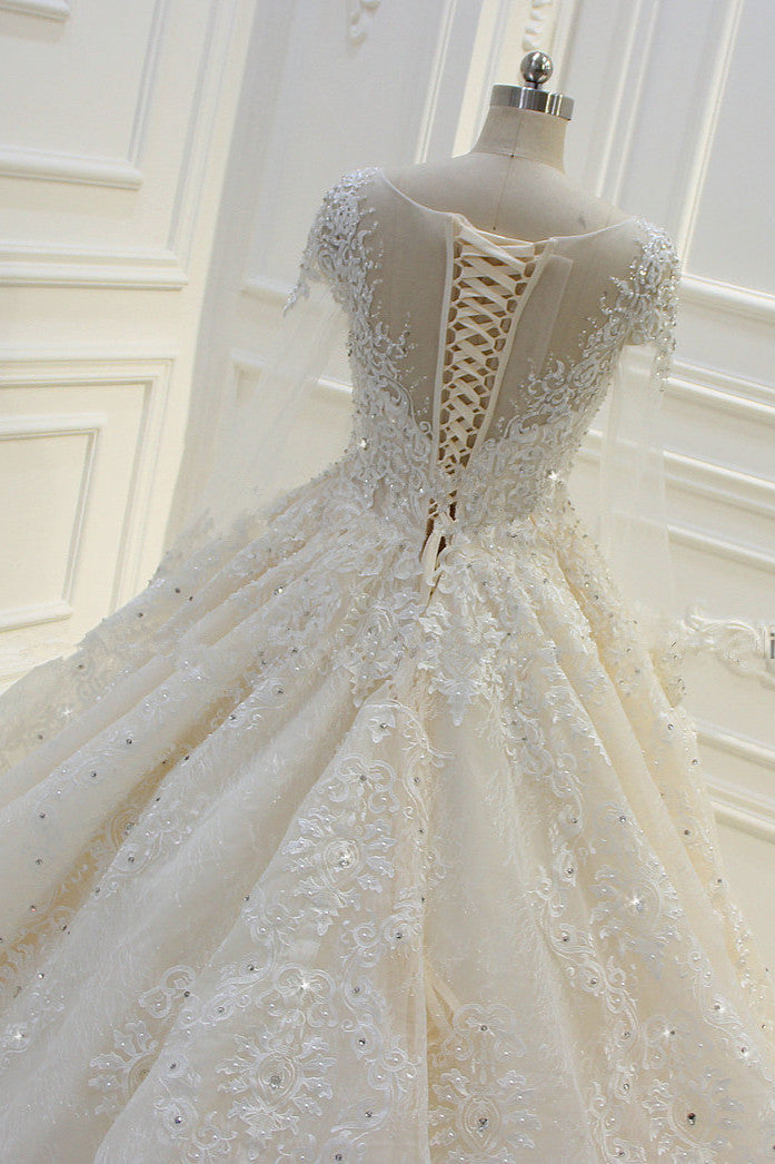 Long Sleeves Ball Gown Wedding Dress with Beading & Lace Appliques